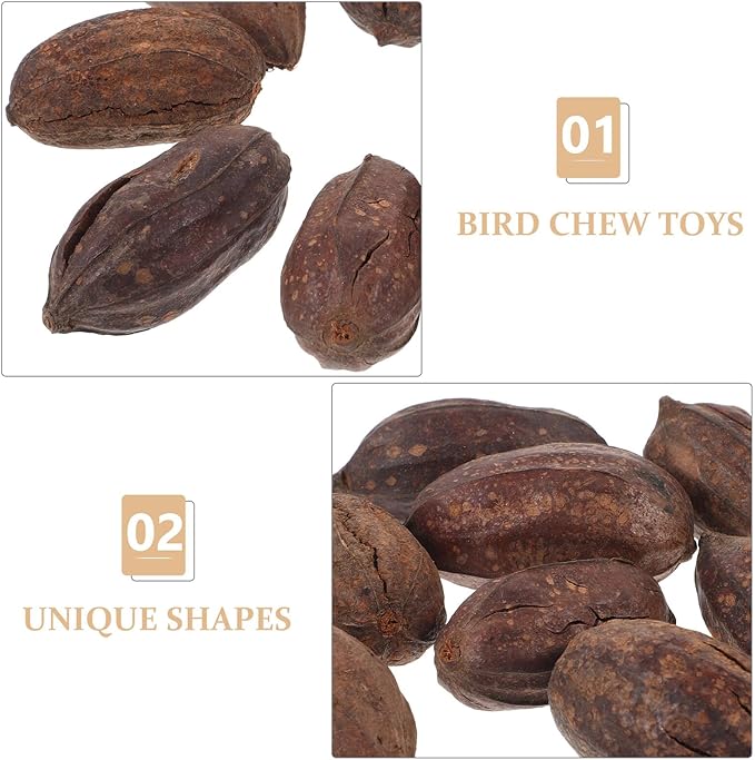 8pcs Natural Dried Fruit Parrot Chew for Budgie and Parakeet Foraging Accessories with Unique Shapes to Promote Healthy Beak and Mental Stimulation