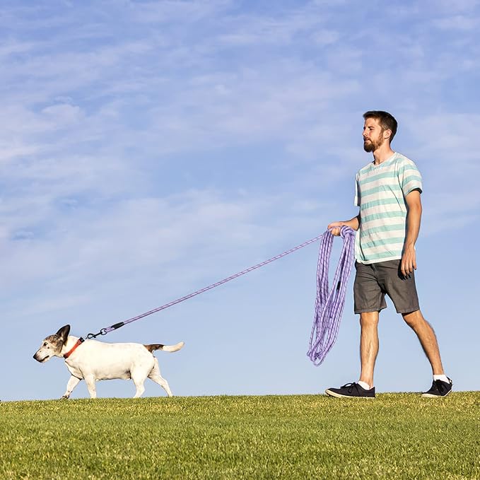 Long Dog Leash for Training 15Ft-Reflective Nylon Rope with Swivel Hook-Recall Agility Lead for Large Small Medium Dogs Outside Walking Hiking-Purple