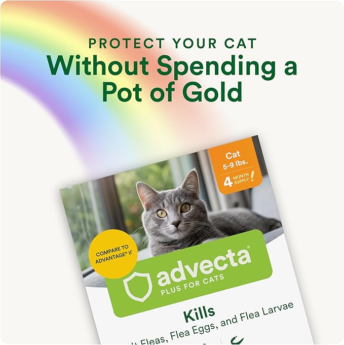 Advecta Plus Topical Flea Treatment for Cats and Kittens, Flea Prevention and Control, Small & Large, Fast-Acting Waterproof Drops, 2-Month Supply