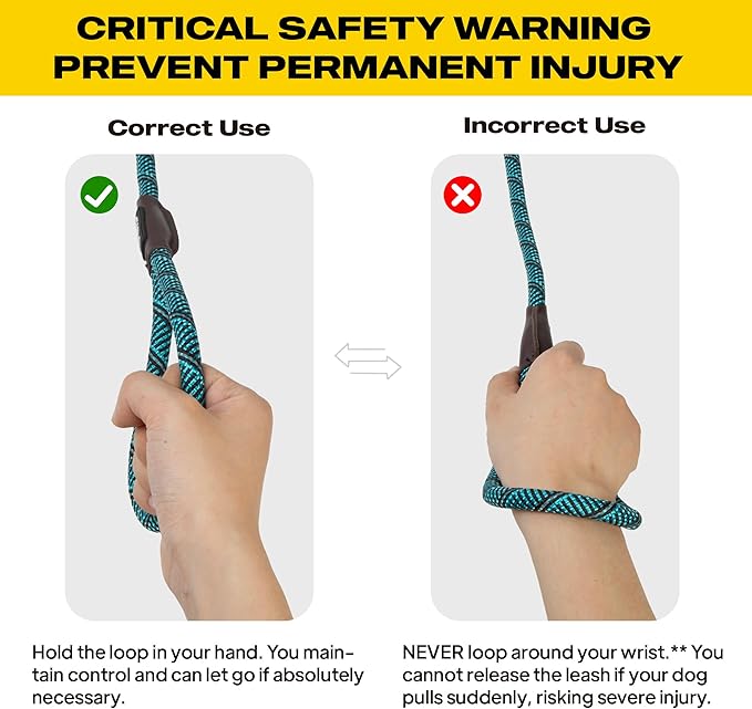 Fida Durable Slip Lead Dog Leash, 6 FT x 1/2" Heavy Duty Loop Comfortable Strong Rope Lead for Large, Medium Dogs, No Pull Pet Training with Highly Reflective, Blue