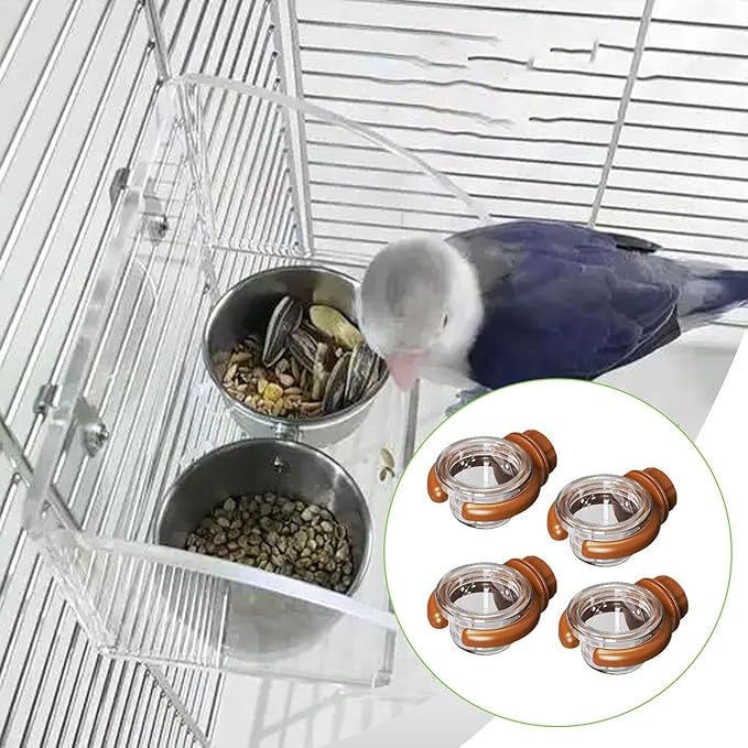 4 Pieces Bird Water Dispenser Decoration for Outside Sturdy Yard Transparent Multifunctional Professional Food Bowl Accessory, Brown