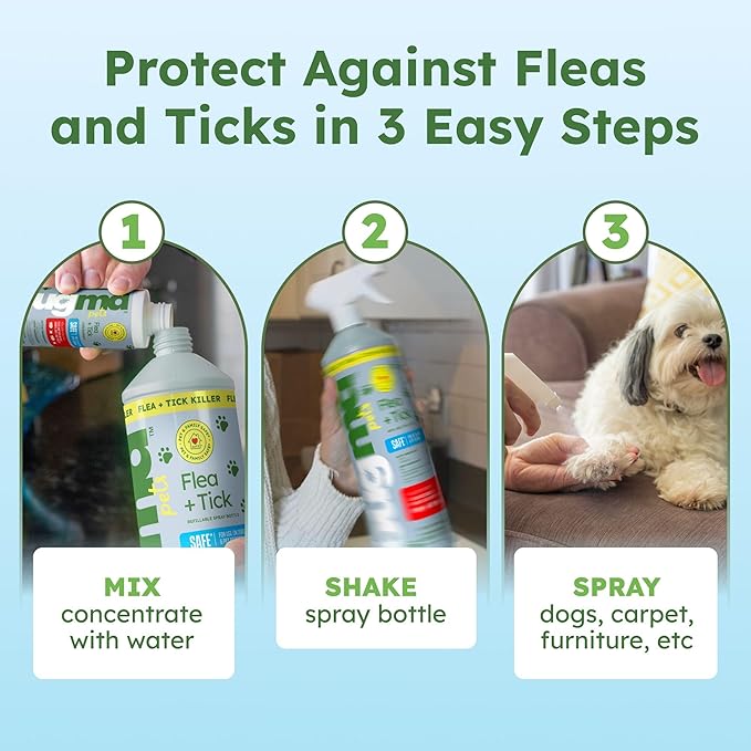 BugMD Flea and Tick Concentrate (3.7 oz, 2 Pack) – Essential Oil Formula for Dogs, Controls Fleas, Ticks & Mites, Safe for Pet Beds, Kennels & Home Use