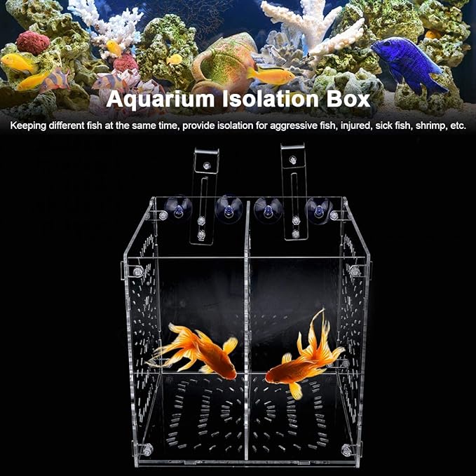 EVTSCAN Aquarium Breeder Box for Fish Tank, Fish Breeding Box Tank Hatchery Incubator Aquarium Isolation Box for Seedlings Incubation(L)