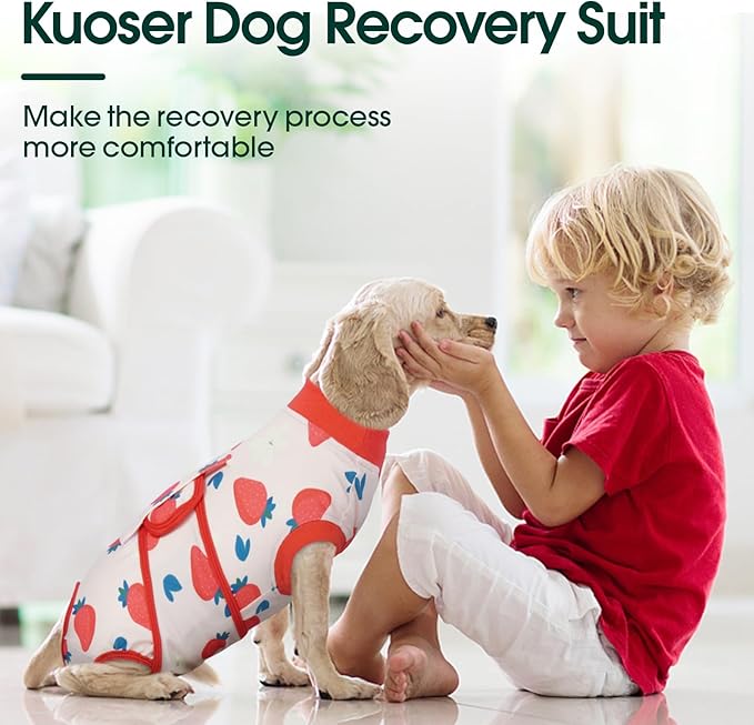 Kuoser Dog Recovery Suit After Surgery, Dog Surgery Suit Female Spay, Male Neuter, Anti-Licking Pet Onesie, Surgical Recovery Bodysuit for Abdominal Wounds,Skin Disease, E-Collar Cone Alternative, 2XL