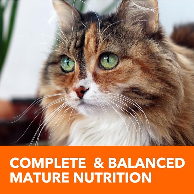 IAMS Proactive Health Senior Dry Cat Food, Cat Food Dry Chicken Recipe, Real Chicken in Every Bite, 7 lb. Bag