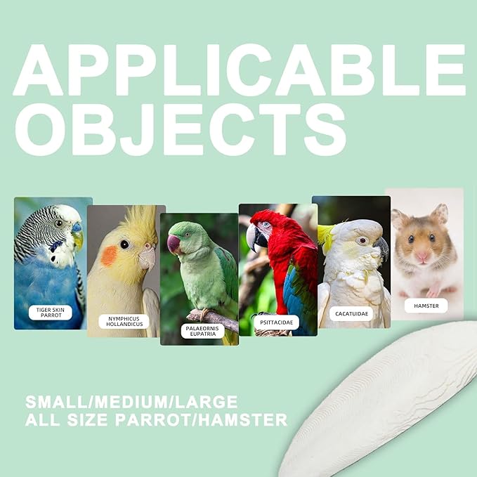 Cuttlebone for Birds Parakeets Canaries Cockatiels Small Conures Mynahs Toucans African Greys All Parrots Snails Totoise,Natural Cuttlefish Bone for Bird Cage (7"-7.5"(Pack of 6))