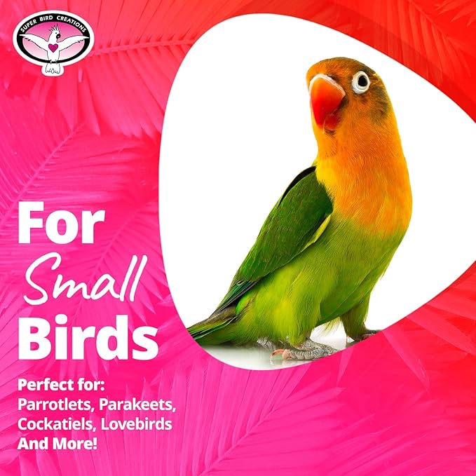 Super Bird Creations SB370 Vine Ball Arch Bird Toy, Small Bird Size, 7.5" x 7.5"
