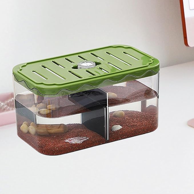 Aquarium Breeding Box Small Fish Tank Multifunction Table Centerpieces Acclimation Hatchery for Clownfish Home, Green