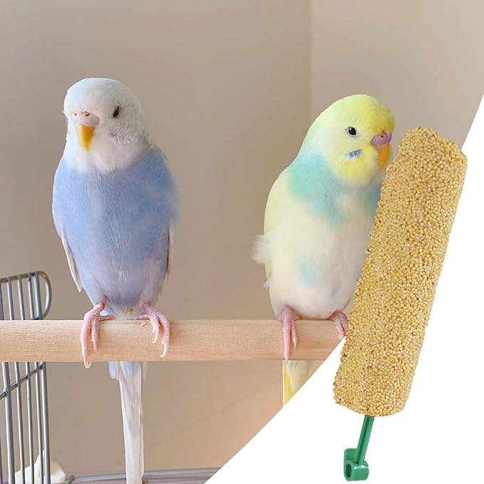 Bird Treat Sticks - Natural Foraging Snacks for Parakeets, Conures, Small Birds with Chewing and Training Benefits | 2-Piece Reward Food for Myna, Finch, Parrot, Fun and Healthy Bird Care