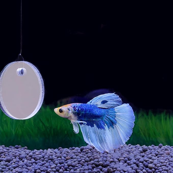 Betta Training Mirror Fish for Tank Fish Antidepressant Work Out Special for Betta Fitness Mirror Betta Toys Mirror Aquarium Decor (4cm)