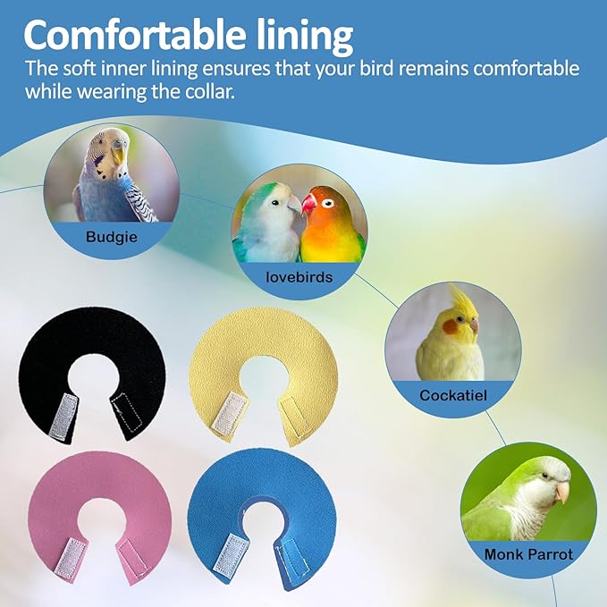 4Pack Bird Cone Collar, Anti-Grab Feather Plucking Wound Healing Safety Elizabethan Collar, Protective Recovery Cones for Budgerigar Cockatiel Lovebirds Cockatoo Parrots (XS)