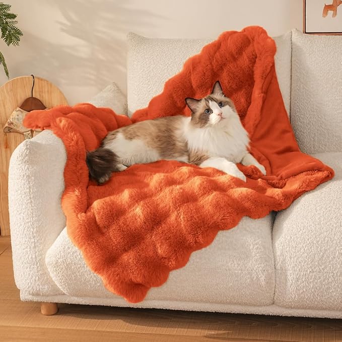 Self-Warming Cat Blanket for Indoor Cats & Small Dogs, Dual-Side Sherpa Plush Throw, Anti-Static Shared Couch Mat for Crate & Travel, Machine Washable No Shrink, 28x22 Inch Orange