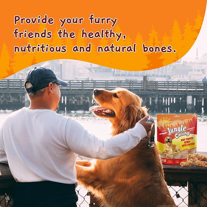 Jungle Calling Beef Tendons for Dogs, Chicken Wrapped Tendons Dog Chews Long Lasting Hip and Joint Supplement for Dogs with Glucosamine (Knotted Bone) (Pack of 2)