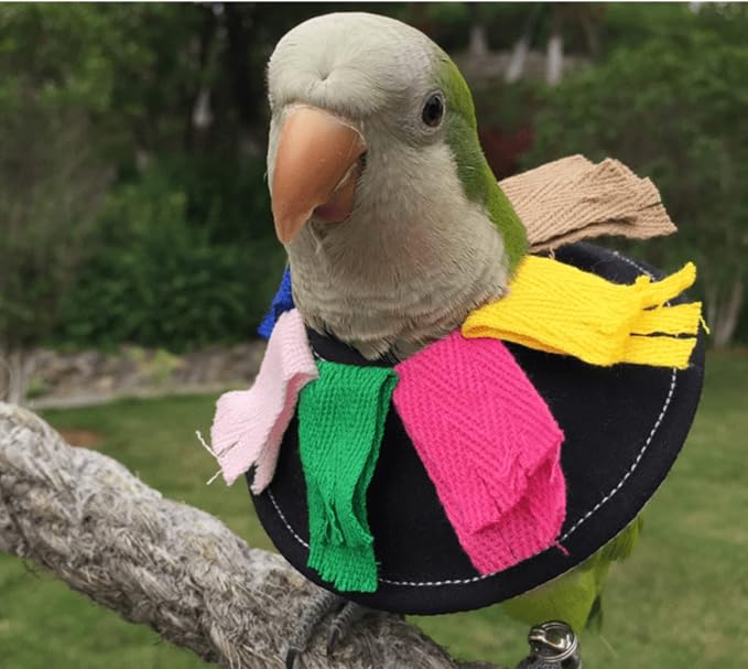 Adjustable Bird Collar Anti Bite Elizabethan Recovery Cone, Bird Neck Protector for Feather Plucking, Skin-Friendly Bird Neckwear Full Body Shield for Parakeet Conure Cockatiel (L), Black