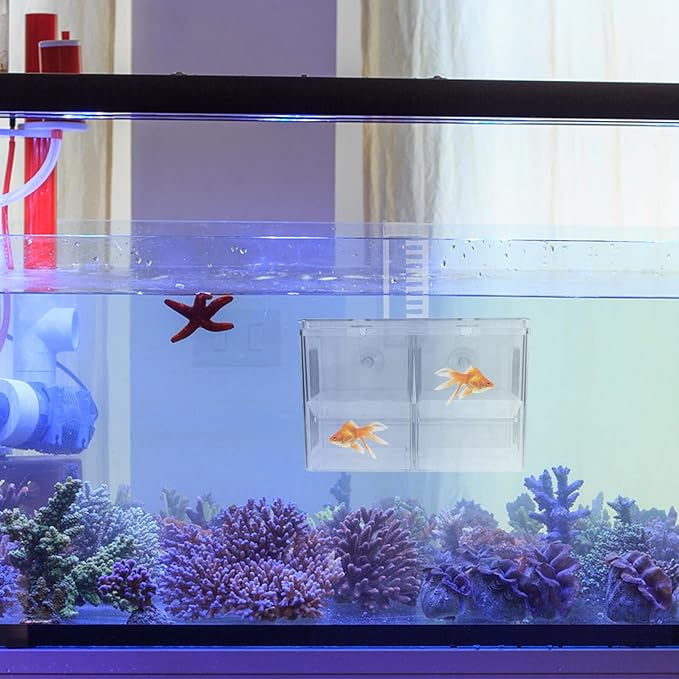 Luxshiny Aquarium Fish Breeding Box Hanging Hatchery Incubator Isolation Tank with Hooks for Guppy Fry Separation and Tropical Fish Nursery