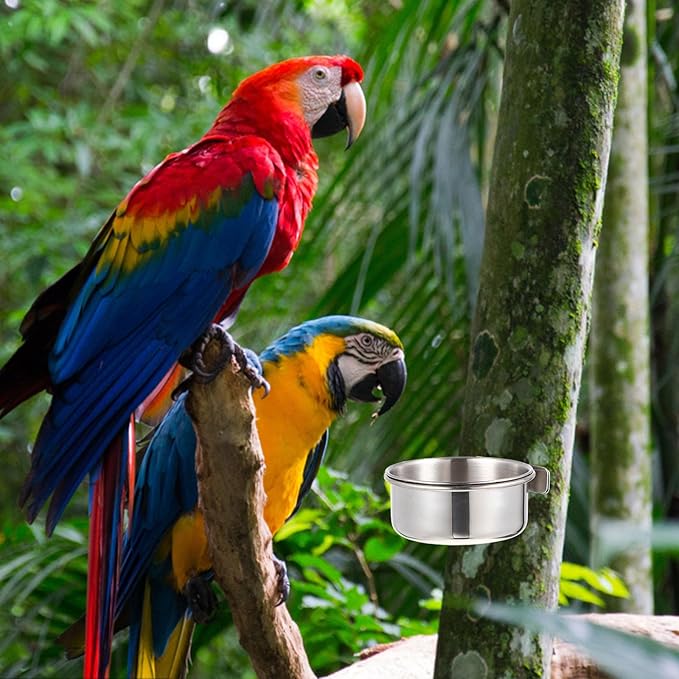 Yardwe Stainless Steel Bird Food Cup 2-Pack Small Cage Feeders with Clamp for Parrots Budgies Cockatiels Durable Bird Food Bowls for Easy Feeding