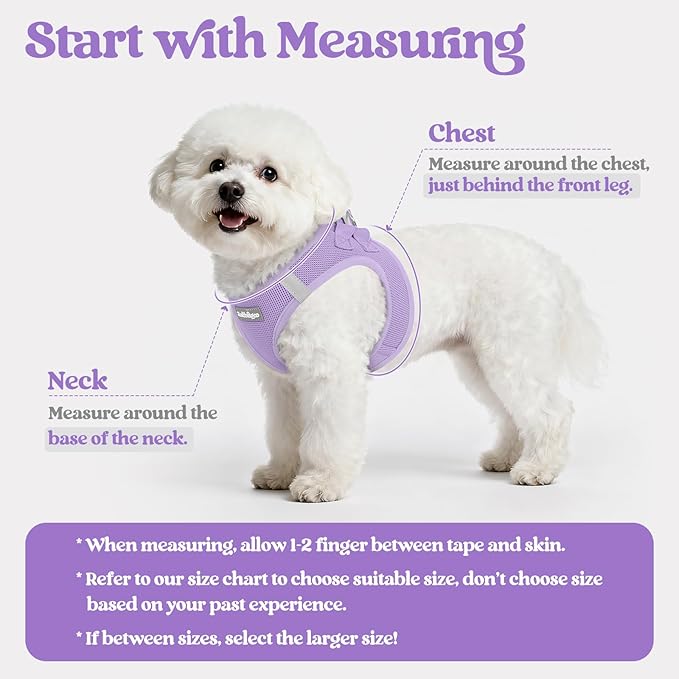 rabbitgoo Dog Harness Small Sized and Leash Set, Step in Soft Light Puppy Vest, Breathable Mesh Pet Harness, Reflective for Safe Easy Walking, Light Purple XXS