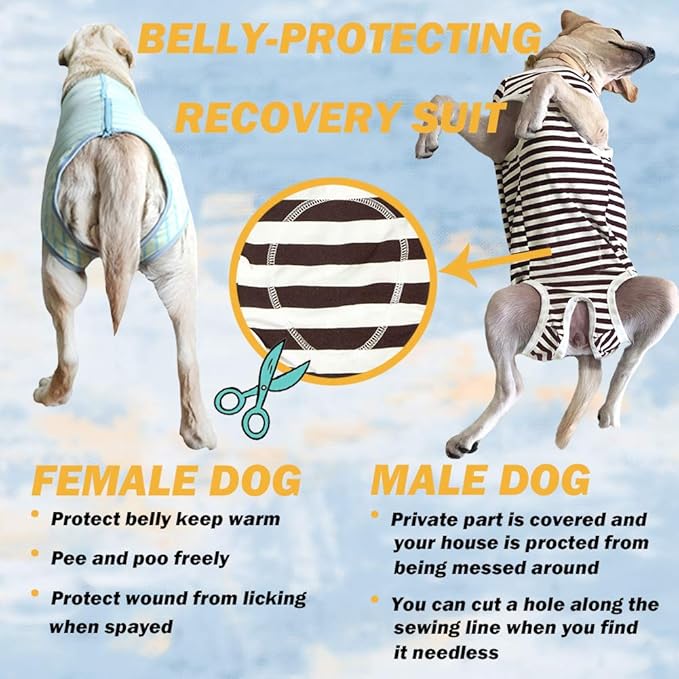 Dog’s Recovery Suit Post Surgery Shirt for Female Male Dog, E-Collar Alternative Wound Protective Clothes (Green Stripe-XL)