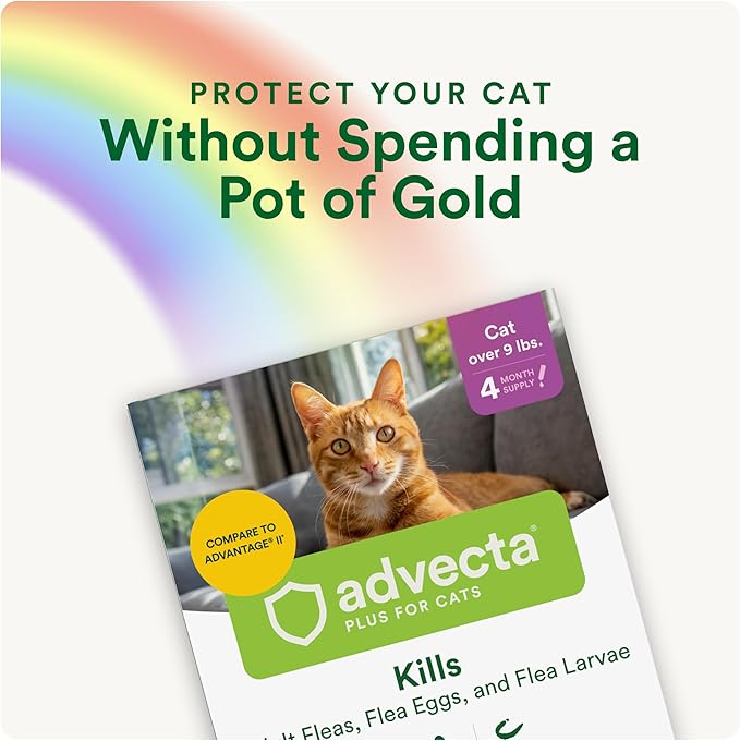 Advecta Plus Topical Large Cat Flea Treatment for Cats and Kittens, Flea Prevention and Control, Fast-Acting Waterproof Drops, 6-Month Supply