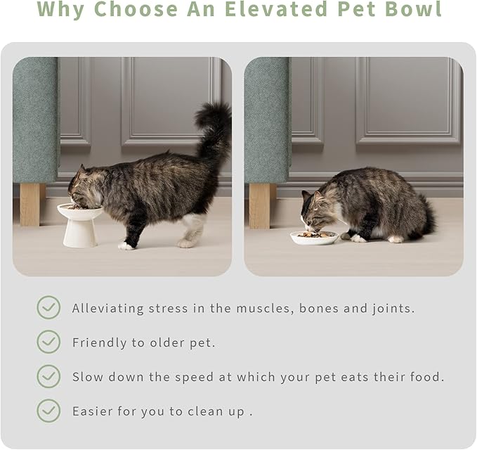 Extra Wide Elevated Ceramic Cat Water Bowl - 6.2" Deeper Dish for Whisker Fatigue Relief, 5" Height for Easy Feeding, Lead & Cadmium Free, Durable Raised Cat Bowls, White