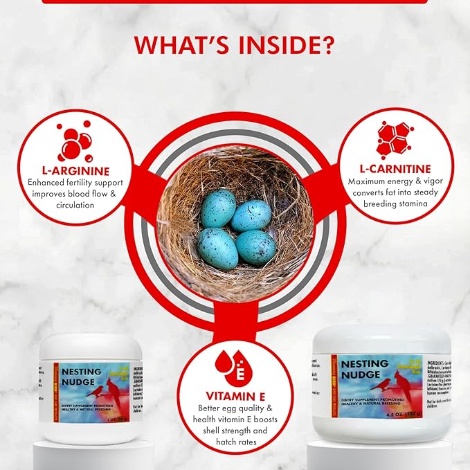 Morning Bird Nesting Nudge 4.5 Oz – Supports Reproductive Health & Energy – Stimulates Male and Female Reproductive Systems - Breeding Supplement with Essential Amino Acids & Vitamin D3