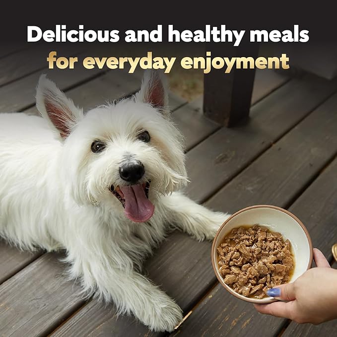 Cesar Filets in Gravy Adult Wet Dog Food Variety Package,Poultry Lovers with Rotisserie Chicken Flavor and Turkey Recipe,3.5 oz. Easy Peel Trays,12 Count (Pack of 4)