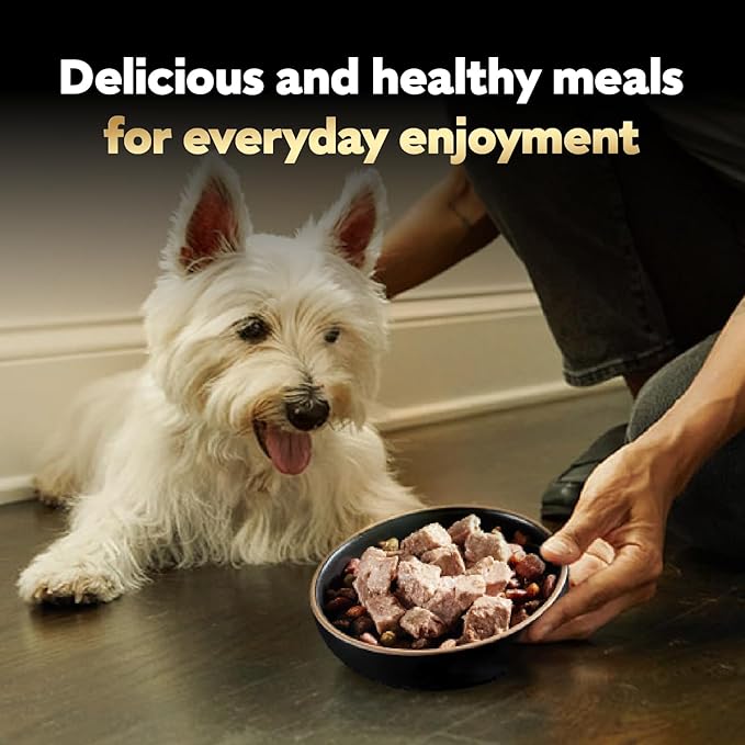Cesar Classic Loaf in Sauce Adult Wet Dog Food Lamb Recipe, 3.5 oz Easy Peel Trays, 24 Count (Pack of 2)