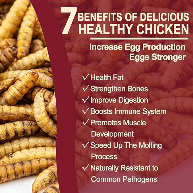 20LB Dried Black Soldier Fly Larvae for Chickens,Non GMO 86X More Calcium BSF Larvae Than Dried Meal Worms for Chicken, Turkey, Natural Black Fly Larvae for Chickens Bulk,Protein Chicken Grubs Treats