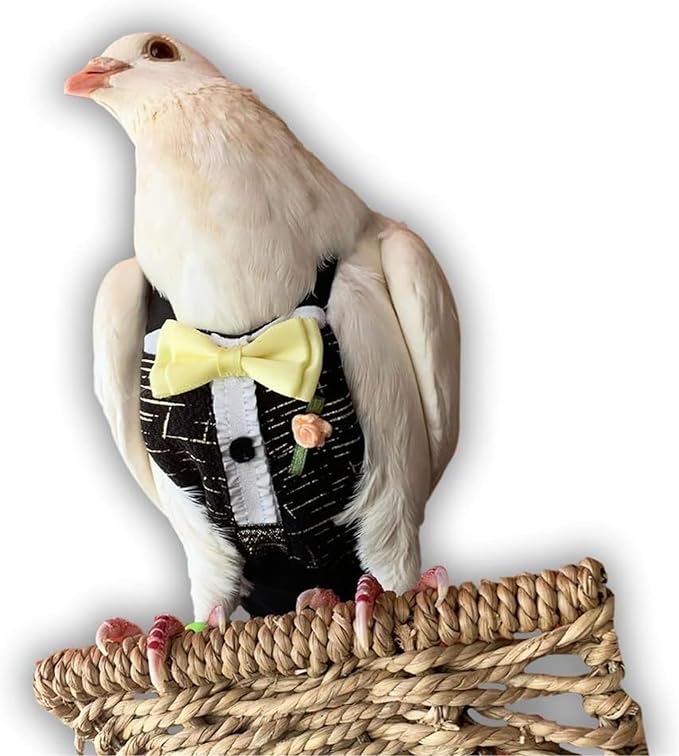 Bev's Bird Boutique Regular Flyper Adjustable Bird Diaper | Reusable, Washable Cloth | Comfort Fit for Parrot, Cockatiels, & Other Small Birds | Fashionable Avian Accessories, Tuxedo, Size 8