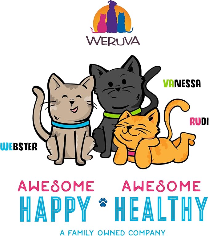Weruva B.F.F. OMG - Best Feline Friend Oh My Gravy!, Chicken & Salmon Shine Bright with Chicken & Salmon in Gravy, 2.8oz Pouch (Pack of 12)
