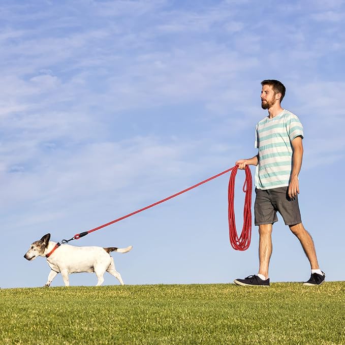 Long Dog Leash for Training 20Ft-Reflective Nylon Rope with Swivel Hook-Recall Agility Lead for Large Small Medium Dogs Outside Walking Hiking-Red Diam 1/2"