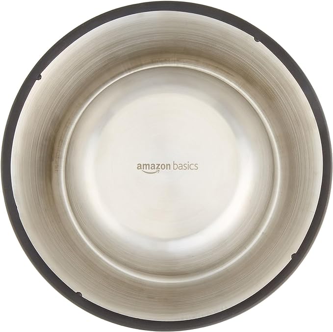 Amazon Basics Stainless Steel Non-Skid Pet Dog Water And Food Bowl, 2-Pack (10 x 2.8 Inches), Each Holds Up to 38oz