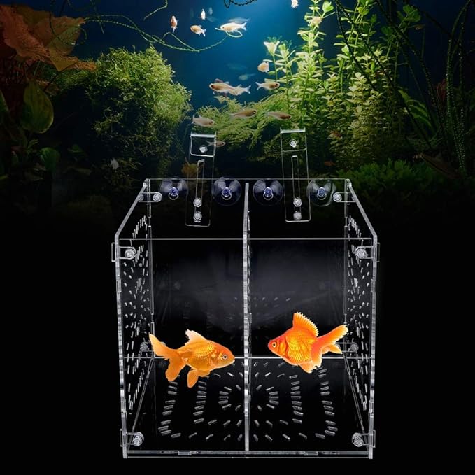 Fish Tank Breeding Box Aquarium Isolation Box Transparent Acrylic Fish Tank Incubation Box for Aggressive Injured Sick Fish Shrimp 15x15x15cm 30x15x15cm 20x20x20cm (20MC *20CM*20CM)
