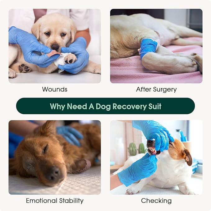 Kuoser Dog Recovery Suit for Dogs After Surgery, Soft Dog Surgical Onesie for Female Male Dogs Spay Neuter, Anti-Licking Pet Bodysuit for Abdominal Wounds, Skin Disease, E-Collar Alternative, Blue L
