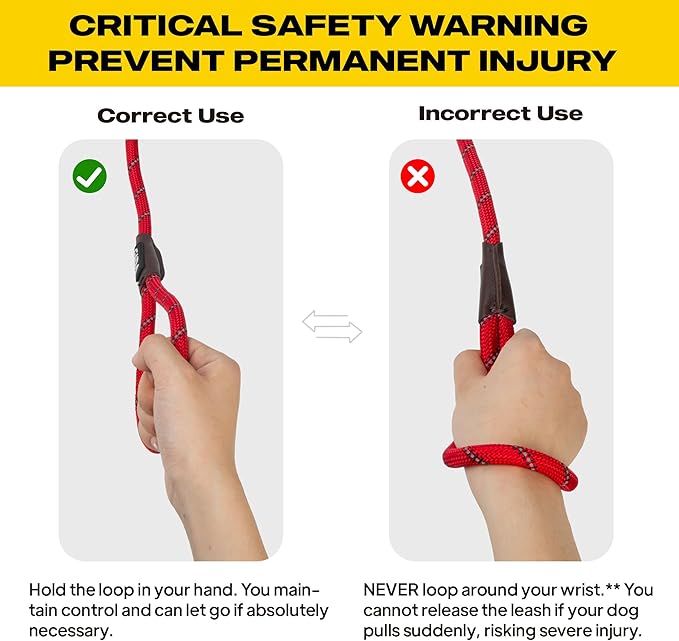 Fida Durable Slip Lead Dog Leash, 6 FT x 3/8" Heavy Duty Comfortable Strong Rope Slip Lead for Small Dogs and Puppies, No Pull Pet Training Leash with Highly Reflective (3/8", Red)