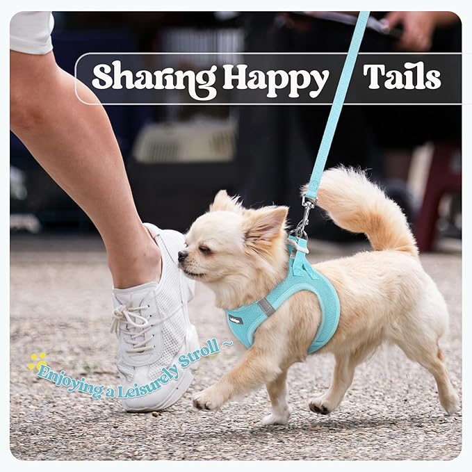 rabbitgoo Dog Harness Medium Sized and Leash Set, Step in Soft Light Puppy Vest, Breathable Mesh Pet Harness, Reflective for Safe Easy Walking, Mint Blue XXL