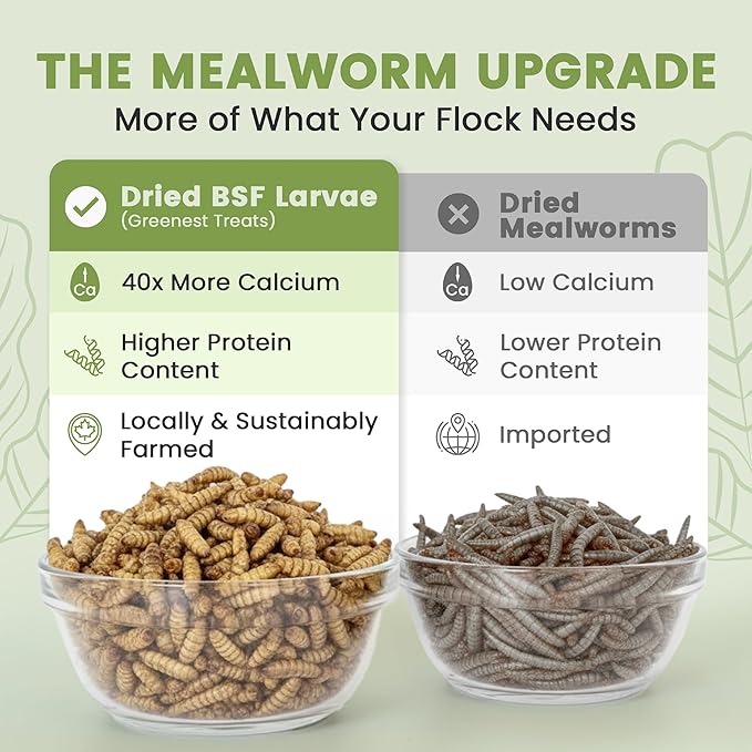 Black Soldier Fly Larvae for Chickens & Ducks – 2lb Dried Worms & Grubs – High Protein & Calcium Mealworms Alternative – Dried Black Fly Larvae – Non-GMO, Farmed in North America