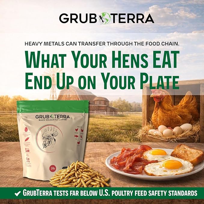 GrubTerra Black Soldier Fly Larvae for Chickens – Dried BSFL Poultry Treat, High Protein Calcium Feed Supplement for Laying Hens, Backyard Chickens, Sourced from Mexico, Not from China - 1LB