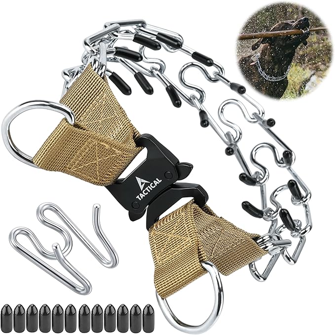 Quick Release Dog Training Collar Adjustable Stainless Steel Collar for Small Medium Large Dog (Tan, XL Neck Girth 16.9"-22.2")