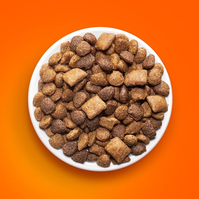 IAMS Healthy Enjoyment Dry Cat Food Chicken & Salmon Recipe, Cat Food Dry Recipe, 6 lb. Bag