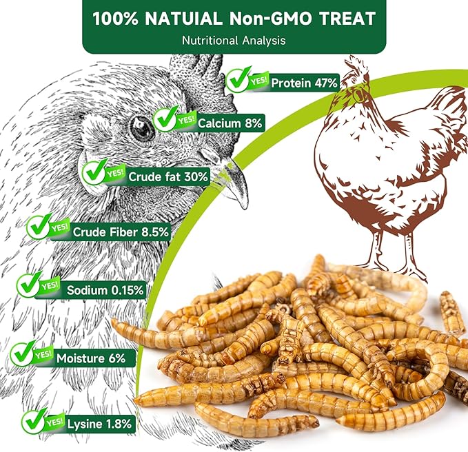 Black Soldier Fly Larvae Worms for Chickens, 5LB, 100% Natural Non-GMO BSFL Chicken Food, More Calcium Than Dried Mealworms, High Protein Chicken Treats for Layer Hens, Wild Birds, Ducks