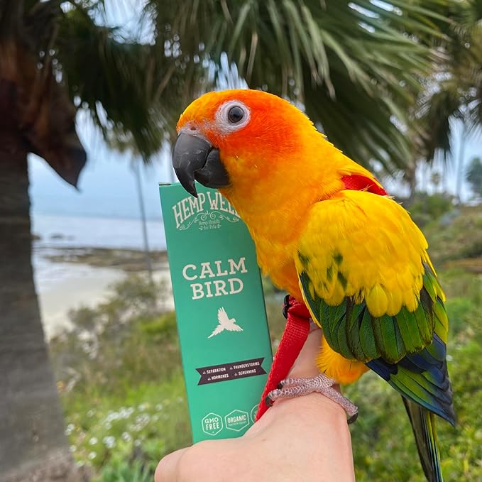 Hemp Well Calm Bird Oil — Relieves Anxiety, Calms and Relaxes Your Bird, Reduces Destructive Behavior, Organically Sourced – 2 Ounces