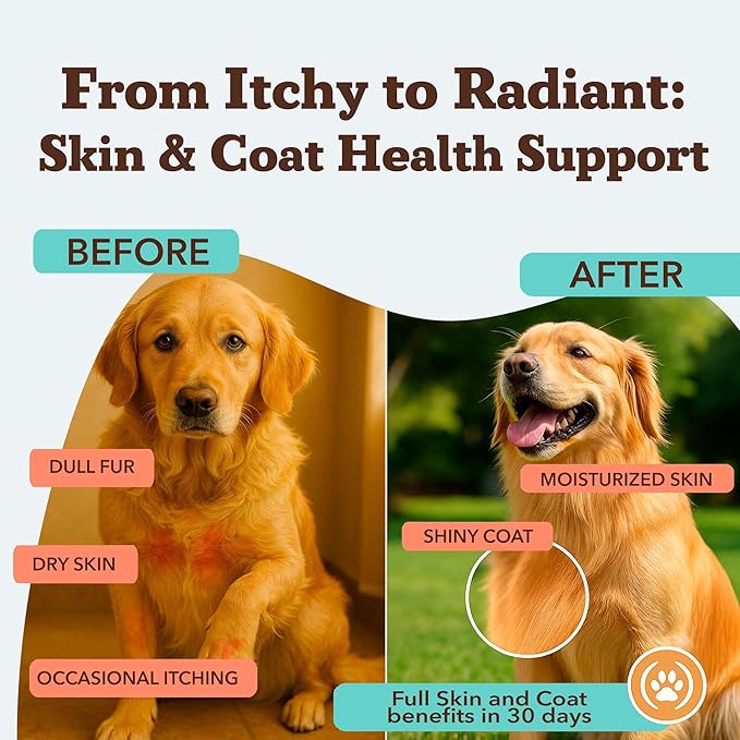 Natural Dog Company Skin & Coat Supplement for Dogs – Omega 3 Salmon Oil, Biotin & Vitamin E Support Shiny Coat, Healthy Skin & Normal Shedding, Promotes Comfort from Occasional Itch, 180 Count
