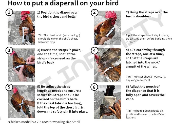 Chicken Diapers Duck Diaper Diaperalls for Hens, Roosters, Ducks, Ducklings - Reusable, Adjustable by Uni Infinity (Mint Floral, Chicken Large, 1, Count)