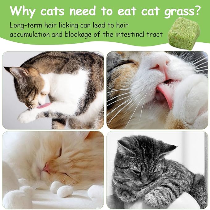 HavenJanny 60g Cat Grass Treats for Indoor Cats, Freezed Dried Cat Grass Teething Stick Snacks for Cats, Edible Feline Chew Toys for Hairball Control and Oral Health