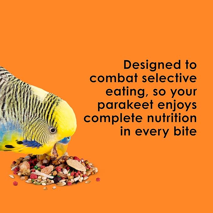 Kaytee Fiesta Parakeet Food,Nutritious and Fun Blend,Supports Skin,Feather,Digestion,Brain and Heart Health,2 pounds,(Pack of 2)