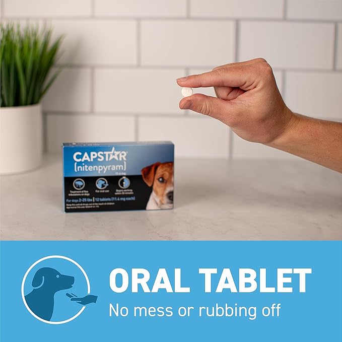 Capstar (Nitenpyram) Fast-Acting Oral Flea Treatment for Dogs 2-25 Lbs, Vet-Recommended Medication Tablets, Flea Tablets for Dogs Start Killing in 30 Minutes, 6 Doses