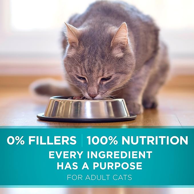 Purina ONE Natural Dry Cat Food, Tender Selects Blend With Real Chicken - (Pack of 4) 3.5 lb. Bags
