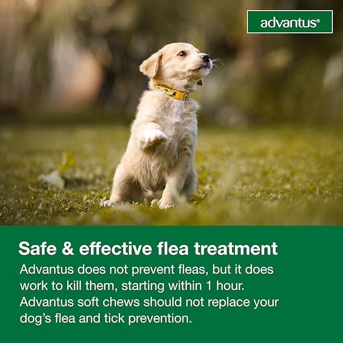 Advantus Dog Fast Acting Oral Flea Treatment Soft Chews Dogs 4 - 22 lbs. | 30 ct.