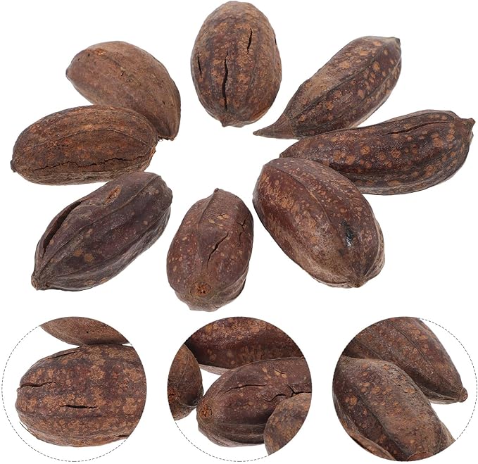 8pcs Natural Dried Fruit Bird Chewing for Parakeet Cockatiel Budgie Parrot Biting Treats Healthy Cage Accessories to Reduce Loneliness and Provide Fun Enrichment